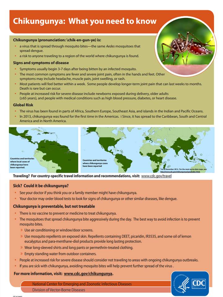 Chikungunya - What you need to know.